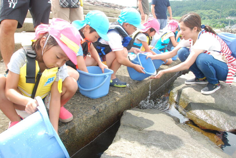 「大きくなってね」　鶴岡のちとせ、由良両保育園　仲良くクロダイの稚魚放流