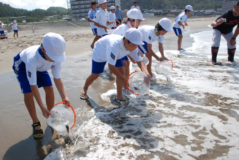 庄内浜で「トラフグ稚魚放流」