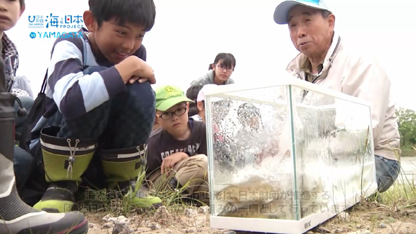 子どもたちが三千匹のサクラマスを放流 海と日本プロジェクトin山形18 04 海と日本project In 山形