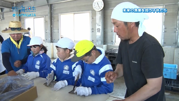 山形県-A06-小学生が「海の達人」から学ぶ体験教室