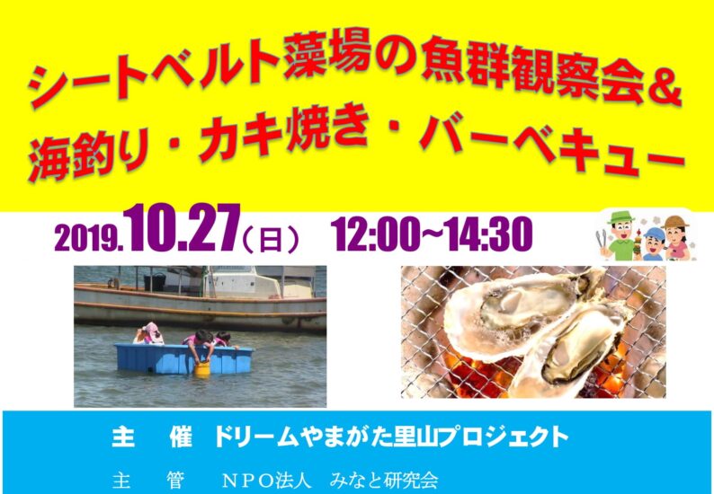 【開催終了】シートベルト藻場の魚群観察会を行います‼