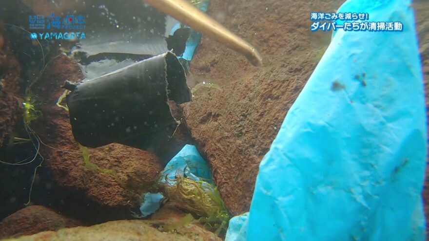 【海洋ごみを減らせ！】ダイバーたちが海中のゴミ拾い　海と日本プロジェクトin山形2020　＃16