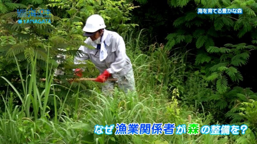 海を守るために山を守る!漁業者が森づくり　海と日本プロジェクトin山形2021#07