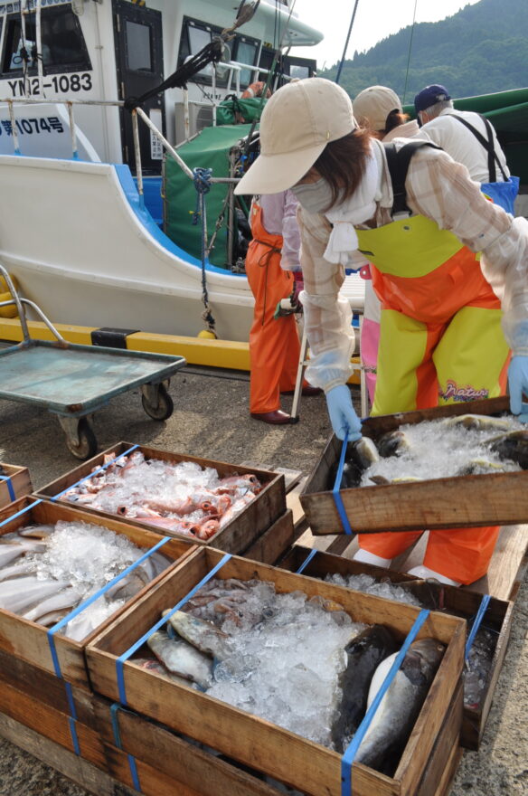 庄内沖底引き網漁が2カ月ぶりに解禁　高い海水温で漁獲への影響も懸念