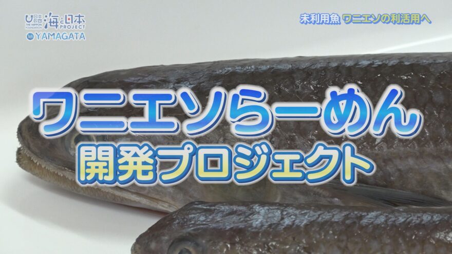 【庄内農業高校×加茂水産高校】”ワニエソらーめん”開発プロジェクト01