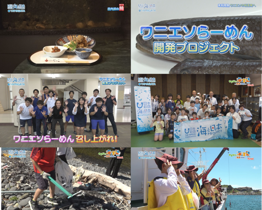 【2025年度】海の学びの動画まとめ