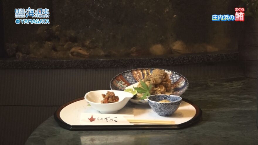 【山形マグロプロジェクト2025】～庄内浜産のマグロの魅力～