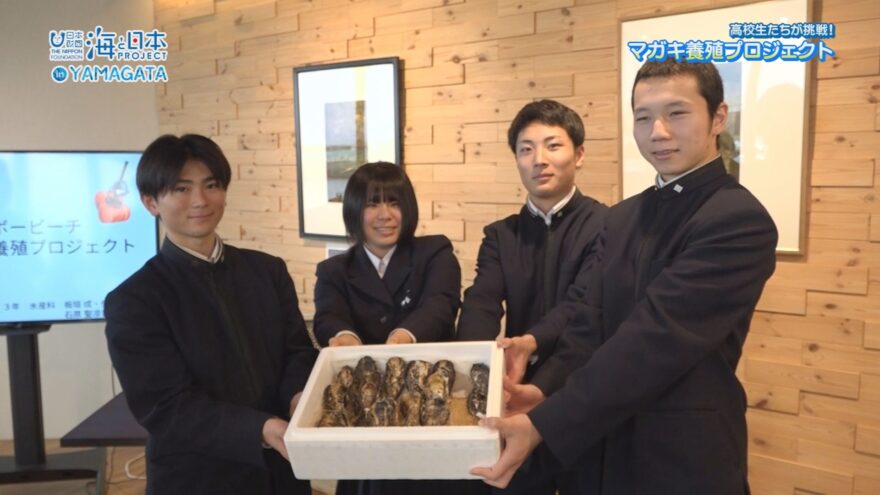 加茂水産高校生の挑戦～マガキ養殖プロジェクト～【海と日本プロジェクトin山形2025#08】
